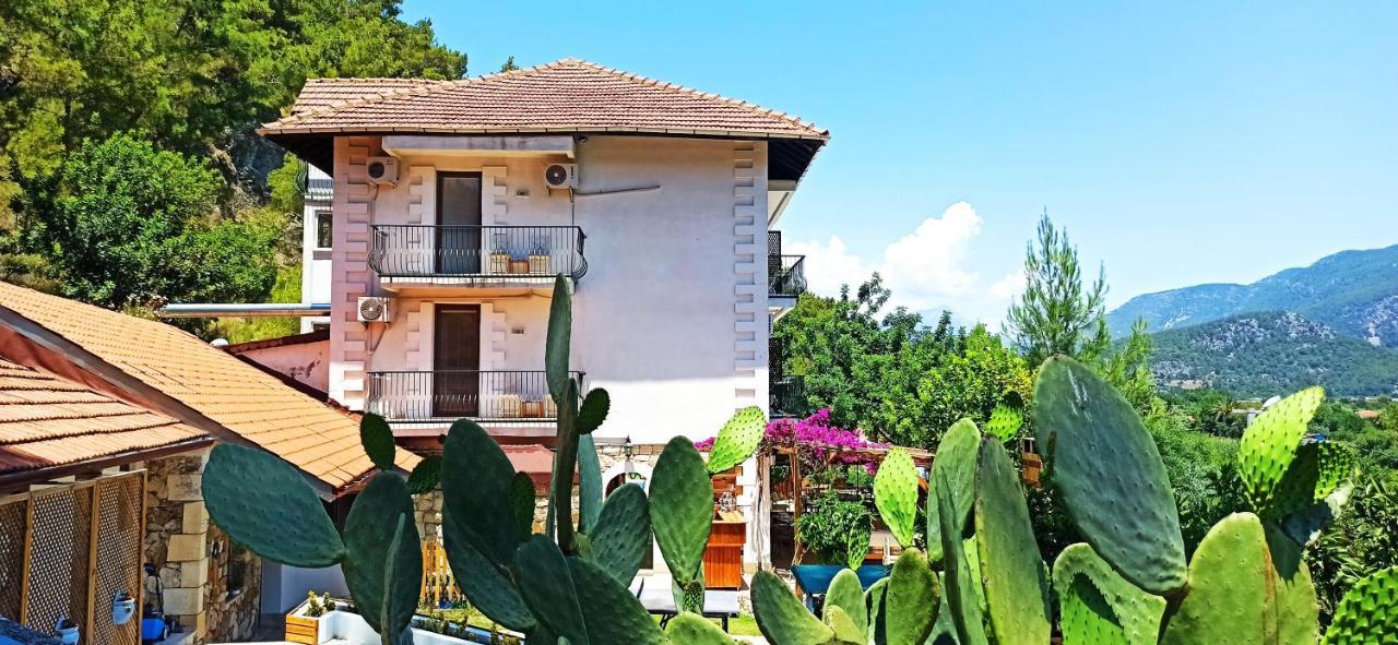 Swiss Eviniz Hotel (Adults Only) 阿德拉桑 外观 照片