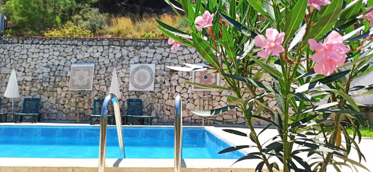 Swiss Eviniz Hotel (Adults Only) 阿德拉桑 外观 照片