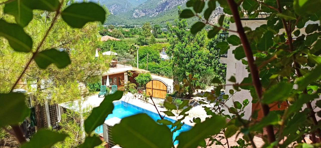 Swiss Eviniz Hotel (Adults Only) 阿德拉桑 外观 照片